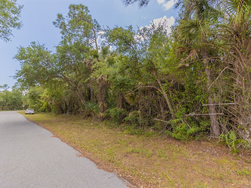 Stunning Port Charlotte Property : Port Charlotte : Lee County : Florida