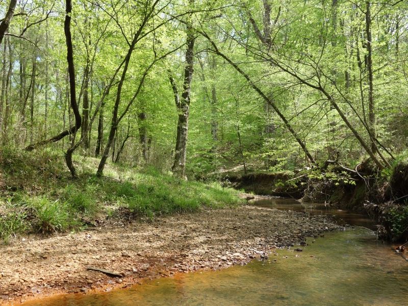 Wooded Acreage in Ridgeway : Ridgeway : Fairfield County : South Carolina