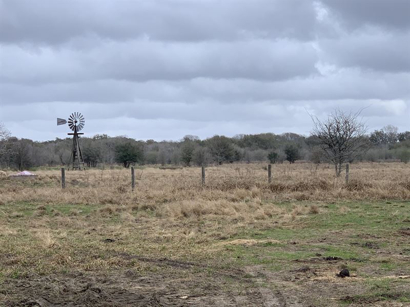 Windmill Ranch : Damon : Brazoria County : Texas