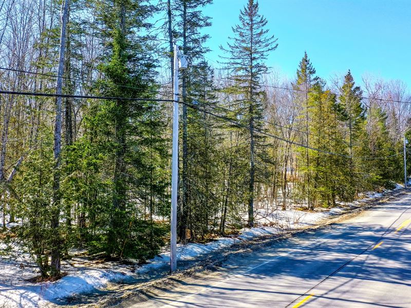 Paved Road, Electricity, & Wetlands : Levant : Penobscot County : Maine
