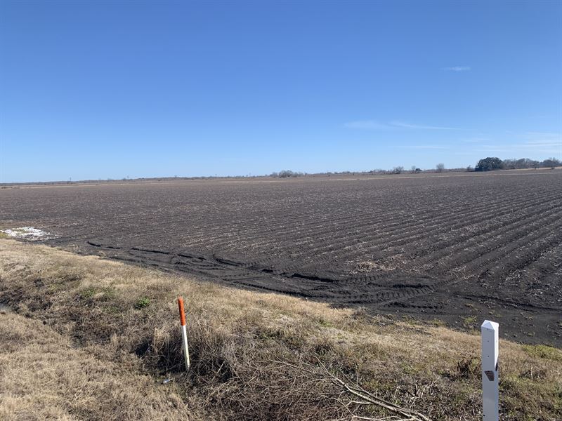 CR 15 Farm : Damon : Brazoria County : Texas
