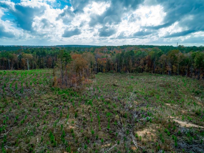 Flora Circle Tract : Winnsboro Mills : Fairfield County : South Carolina