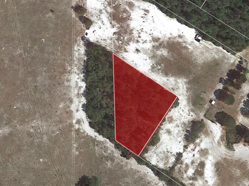 .88 Acre AG Zoned in Crescent City : Crescent City : Putnam County : Florida