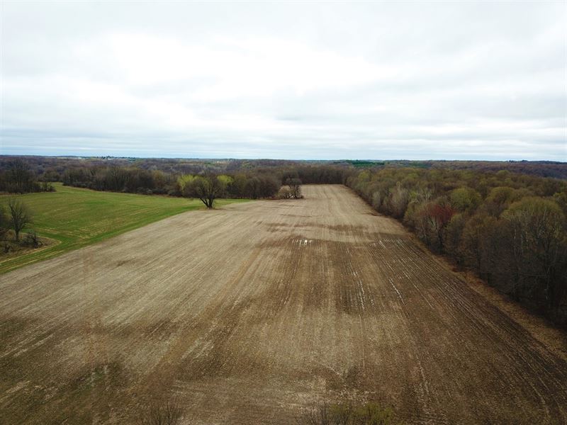 126 Acres St. Croix County, WI : Knapp : Saint Croix County : Wisconsin