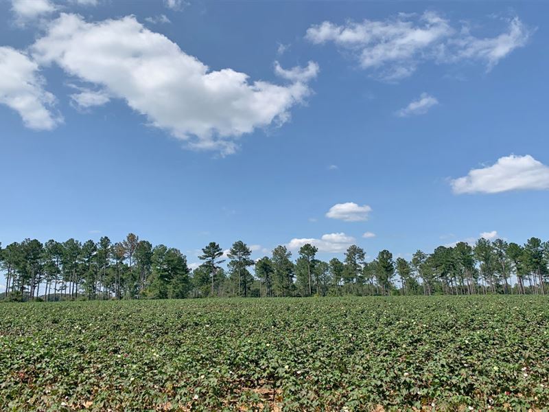 Bigham Farm : Dozier : Crenshaw County : Alabama