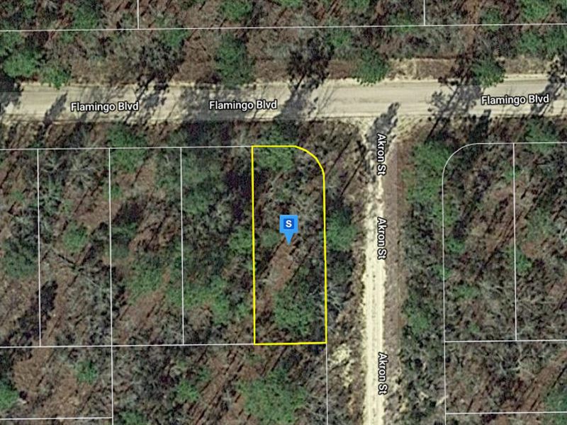 .1 Acre in Putnam County, FL : Interlachen : Putnam County : Florida