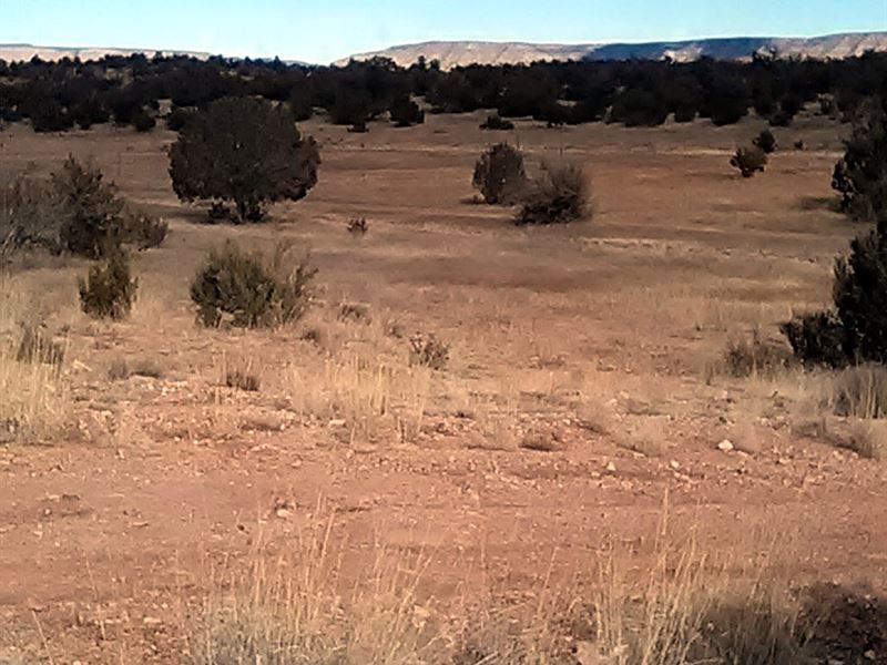 2 Acres Off Route 66, Mature Trees : Seligman : Yavapai County : Arizona