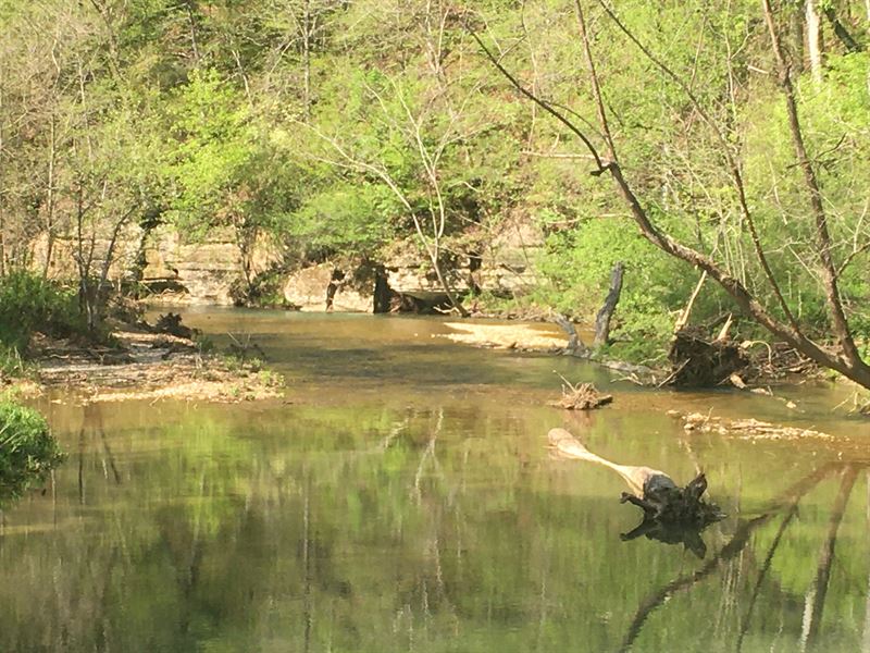 Horse Creek Tract : Savannah : Hardin County : Tennessee