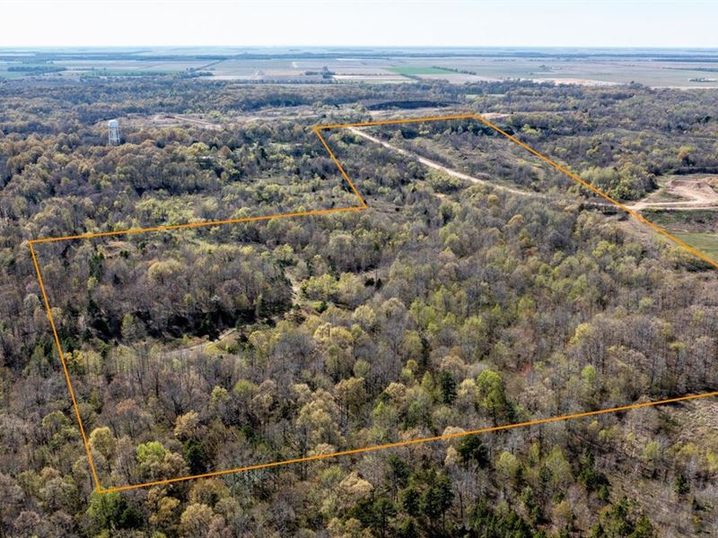The 60 on The Ridge : Harrisburg : Poinsett County : Arkansas