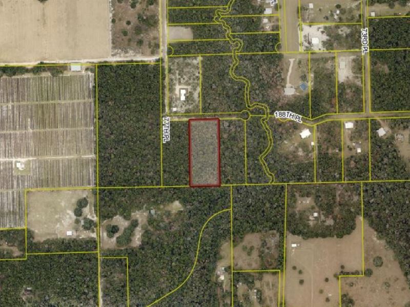 Air Park Property Suwannee County : McAlpin : Suwannee County : Florida