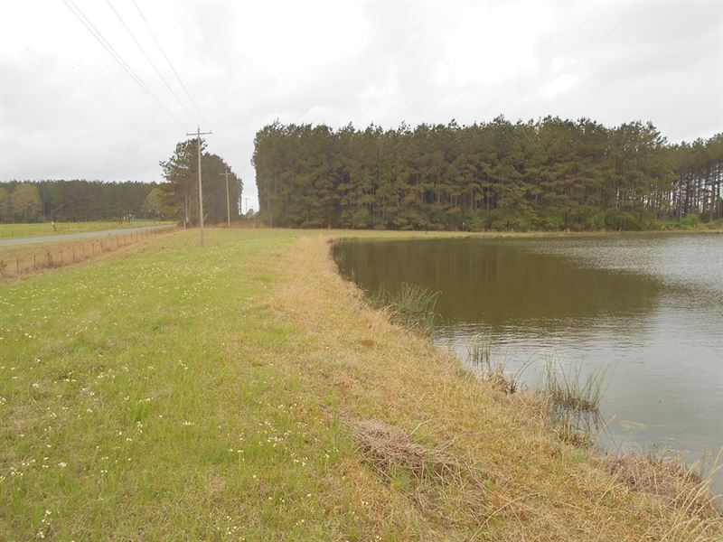 Waterfront Property Lincoln County : Smithdale : Lincoln County : Mississippi