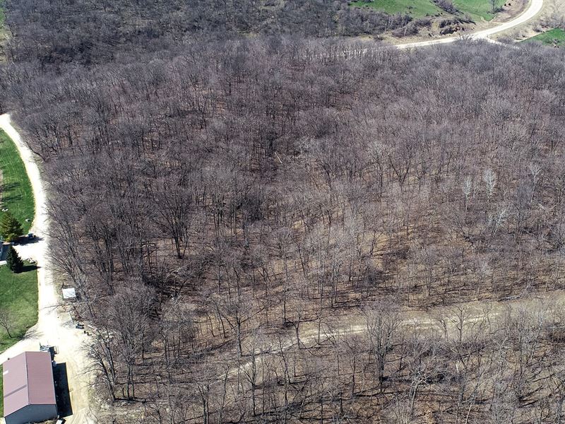 Hunting/Recreational Land Jones : Anamosa : Jones County : Iowa