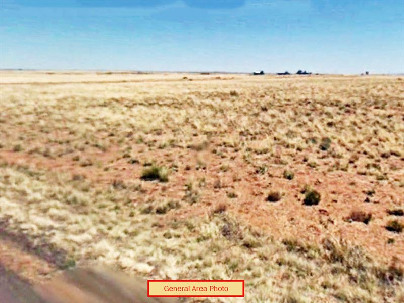 1.25 Acres in Navajo County, AZ : Holbrook : Navajo County : Arizona