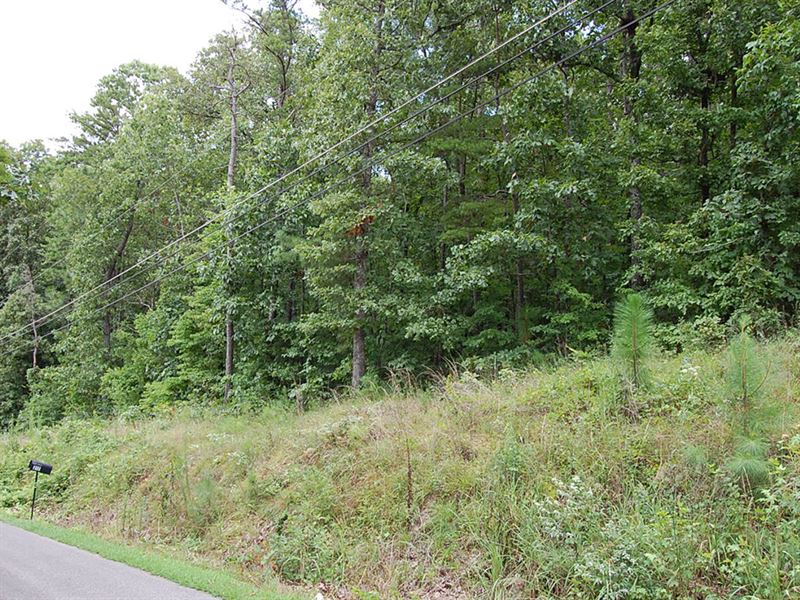 .47 Acres in Talladega County, AL : Oxford : Talladega County : Alabama