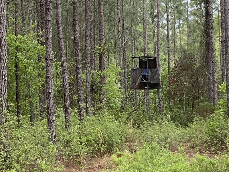 Leola Road : Newington : Screven County : Georgia