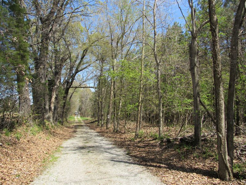Marion Conn Tract 1 : Marion : Crittenden County : Kentucky