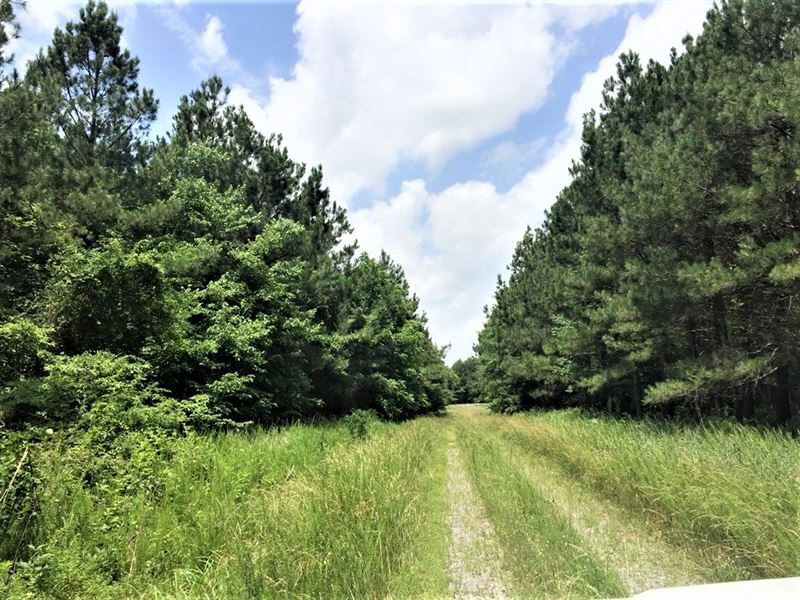 Marion Conn Tract 2 : Marion : Crittenden County : Kentucky