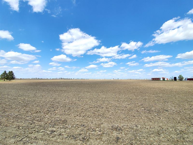 Madison County Grain Farm : Irwin : Madison County : Ohio