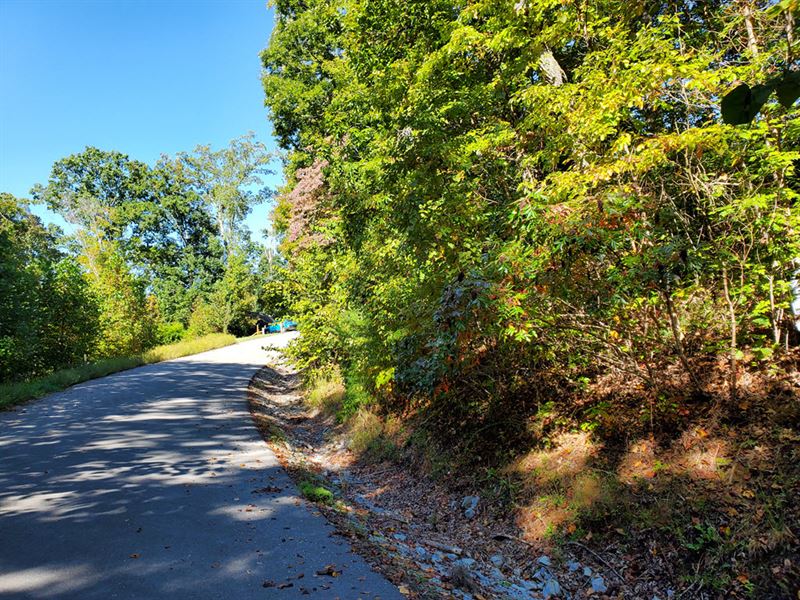 Rock Harbor Building Lot for Sale : New Tazewell : Claiborne County : Tennessee