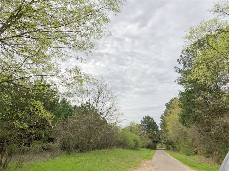 433 Acres Cr 3201 Tract 1008 : Omaha : Morris County : Texas