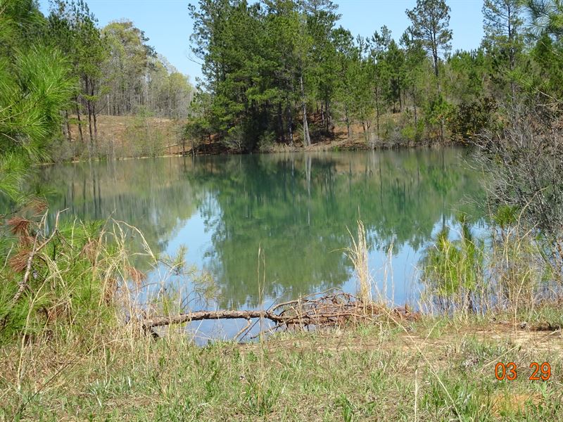 Shilo Road & Hwy 57 Tract : Gordon : Twiggs County : Georgia