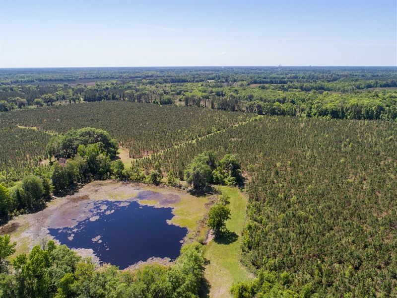 Rare Opportunity : Lacroose : Alachua County : Florida