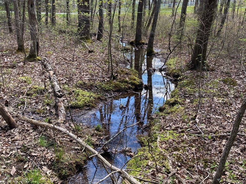 Private 5.71 Acres, Stream, Orchard : Pikeville : Bledsoe County : Tennessee