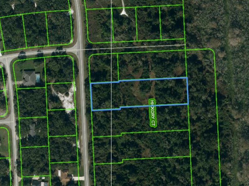Spacious Wooded Homesite : Sebring : Highlands County : Florida