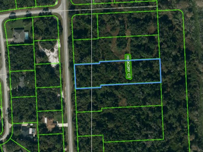 Spacious Wooded Homesite : Sebring : Highlands County : Florida