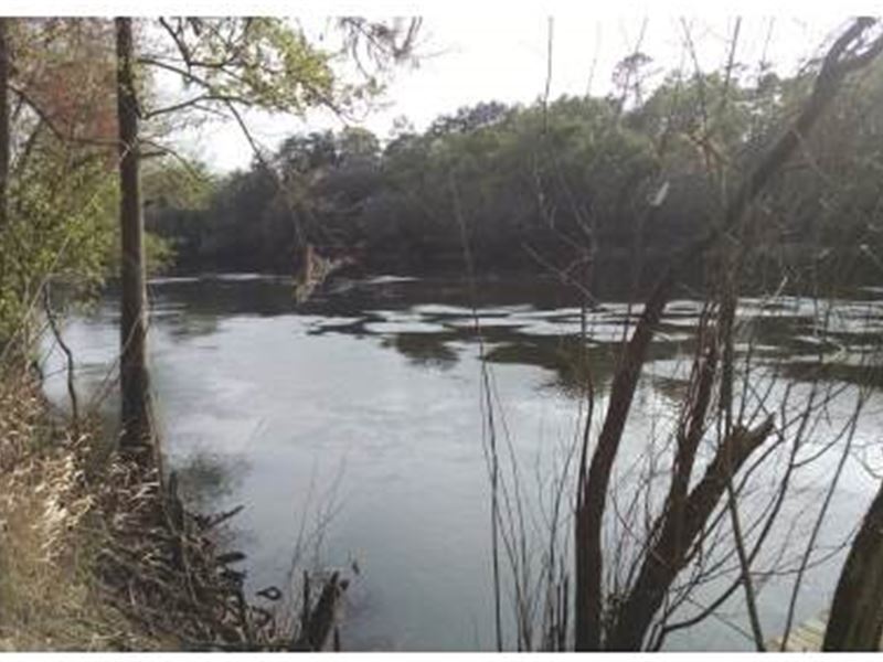 River Access : Live Oak : Suwannee County : Florida