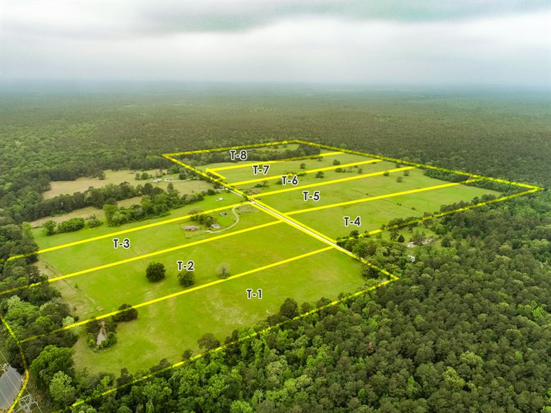 14 Acres T-7 Davidson Rd : Huntsville : Walker County : Texas