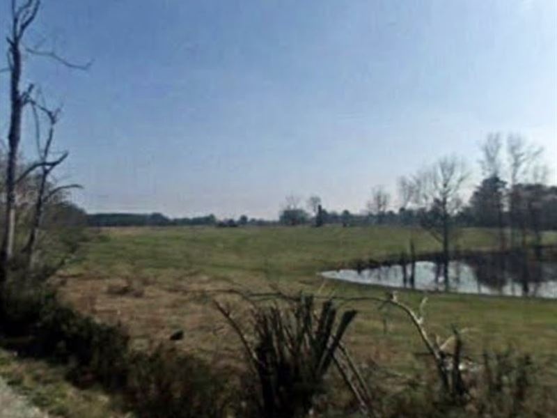 Beautiful Gently Rolling : Joppa : Cullman County : Alabama