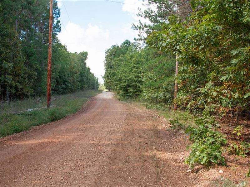 7.43 Acre in Dent County, MO : Lenox : Dent County : Missouri