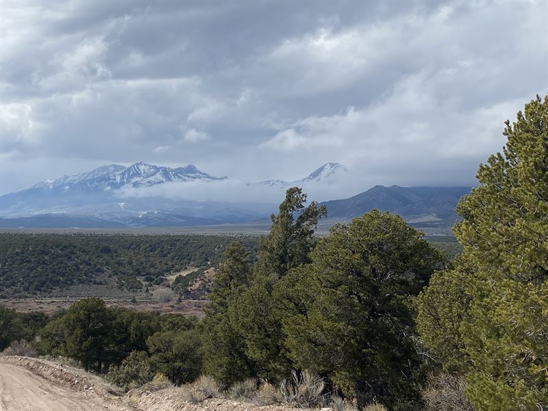Trees, Mountains, Views of Blanca : Fort Garland : Costilla County : Colorado