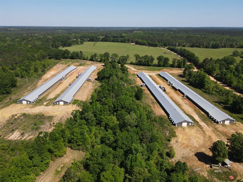 Day's 4 House Pullet Farm : Opp : Covington County : Alabama