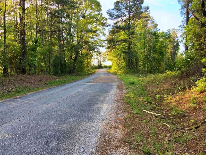 176 Acres Hunting Land For Sale Sco Land for Sale in Forest, Scott