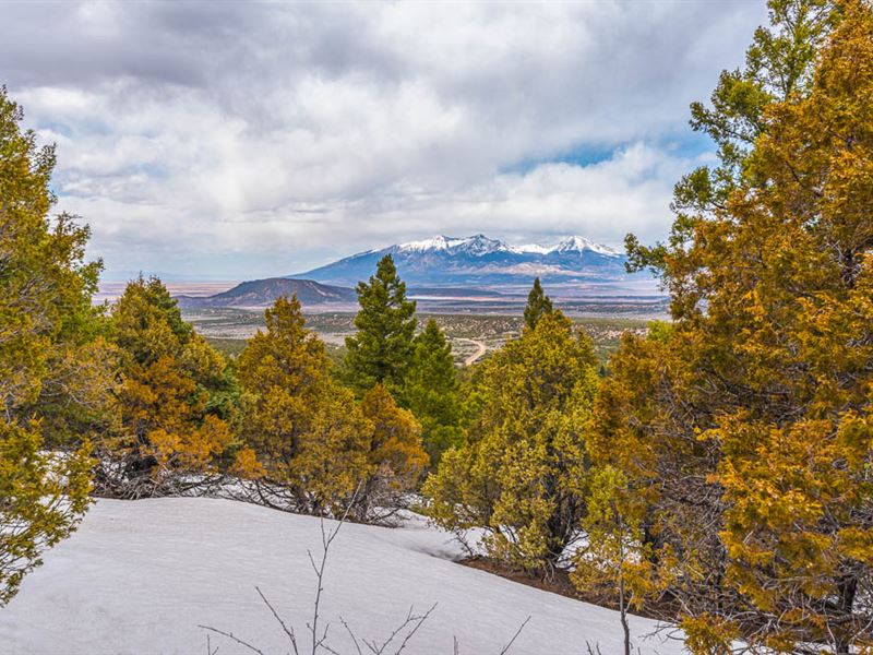 Sometimes All You Need is a Walk In : Fort Garland : Costilla County : Colorado