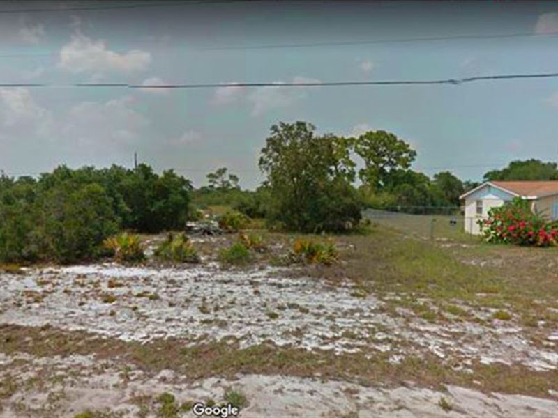 Beauty of Lake Placid : Lake Placid : Highlands County : Florida