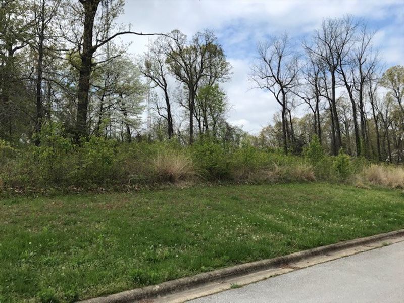 Building Lots Harrison, Arkansas : Harrison : Boone County : Arkansas