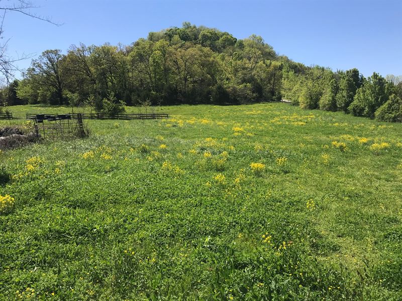 Ozark Mountain Property Mountain : Mountain View : Stone County : Arkansas