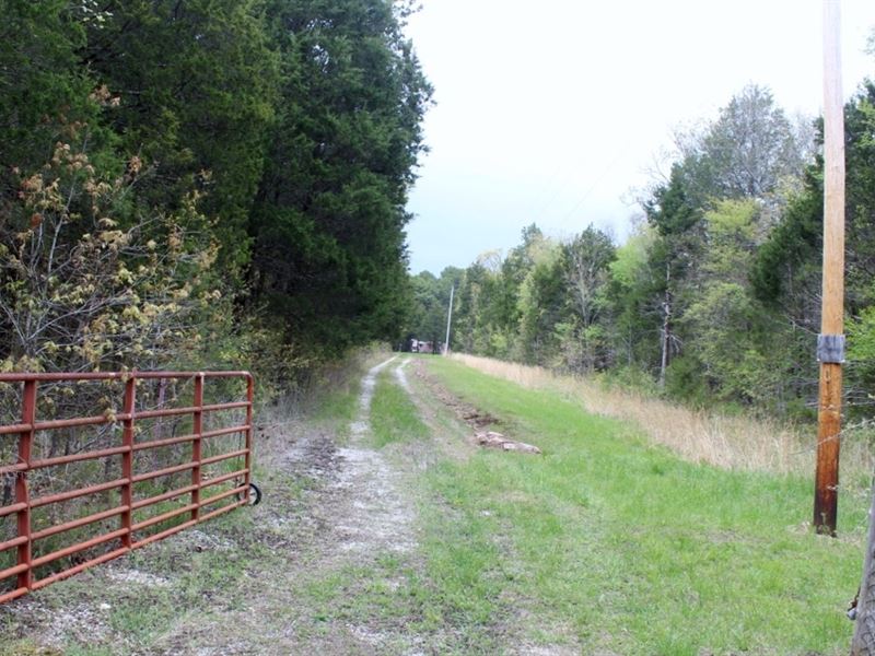 Wooded Acreage Road Access Total : Mountain View : Stone County : Arkansas