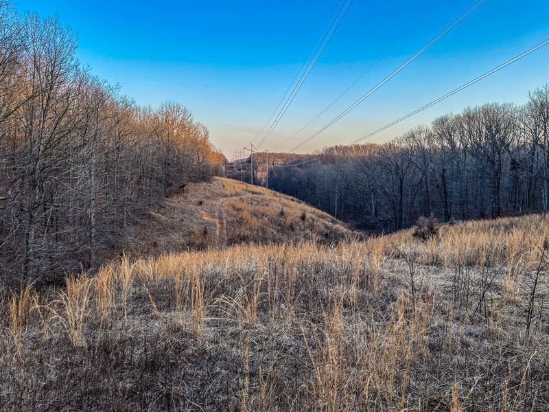 60 Acres to Hunt Play Deeded : Salem : Dent County : Missouri