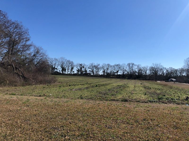 9.27 Acres Slocomb, AL : Slocomb : Geneva County : Alabama