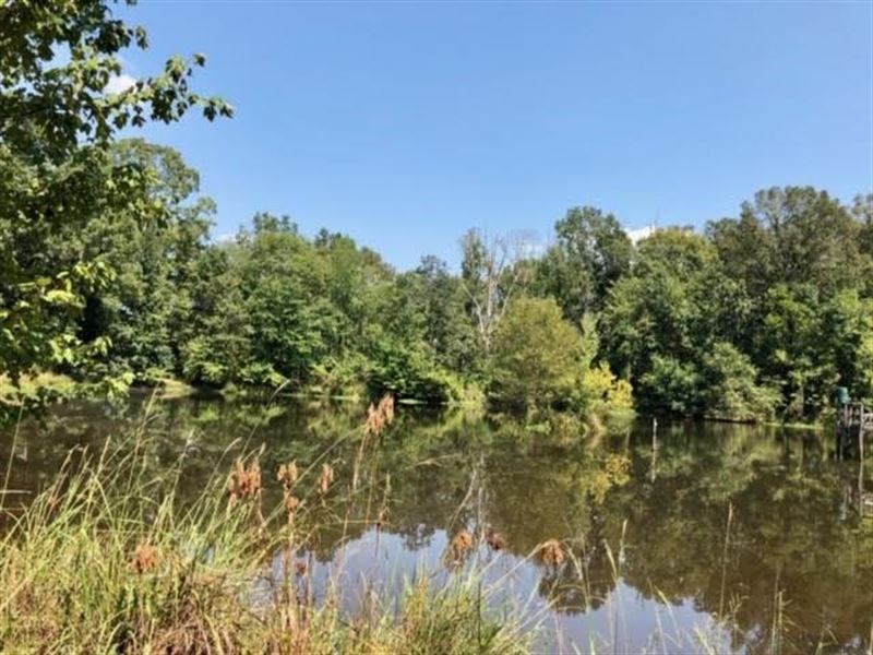 Hunting Paradise Turn Key Property : Crosby : Wilkinson County : Mississippi