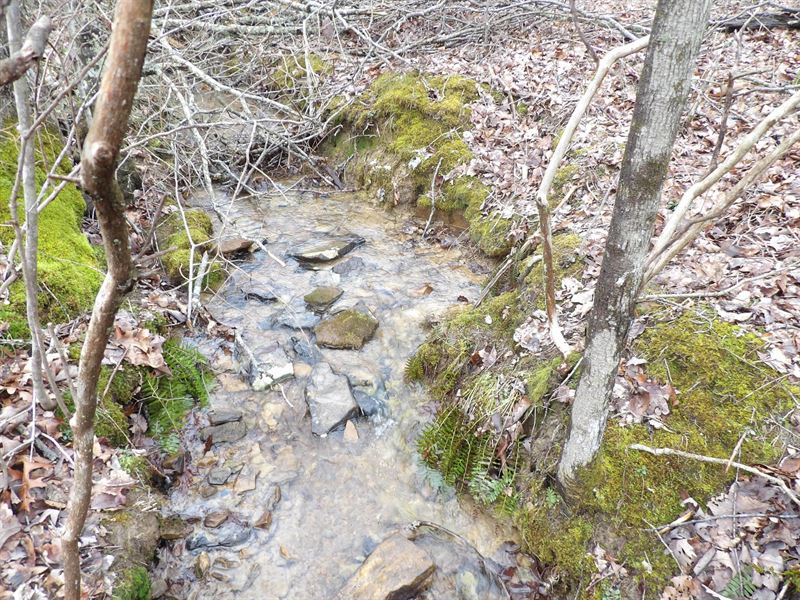 Creek, Level : Crossville : Bledsoe County : Tennessee