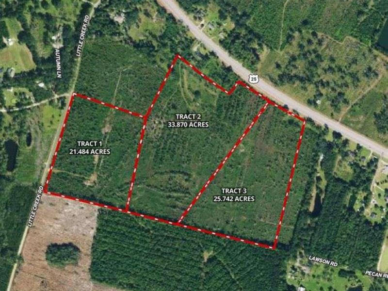 3 Large Land Tracts : Jesup : Wayne County : Georgia
