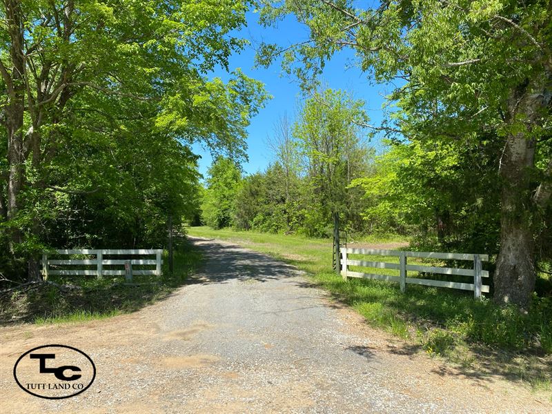 Caney Creek Tract : Geiger : Sumter County : Alabama