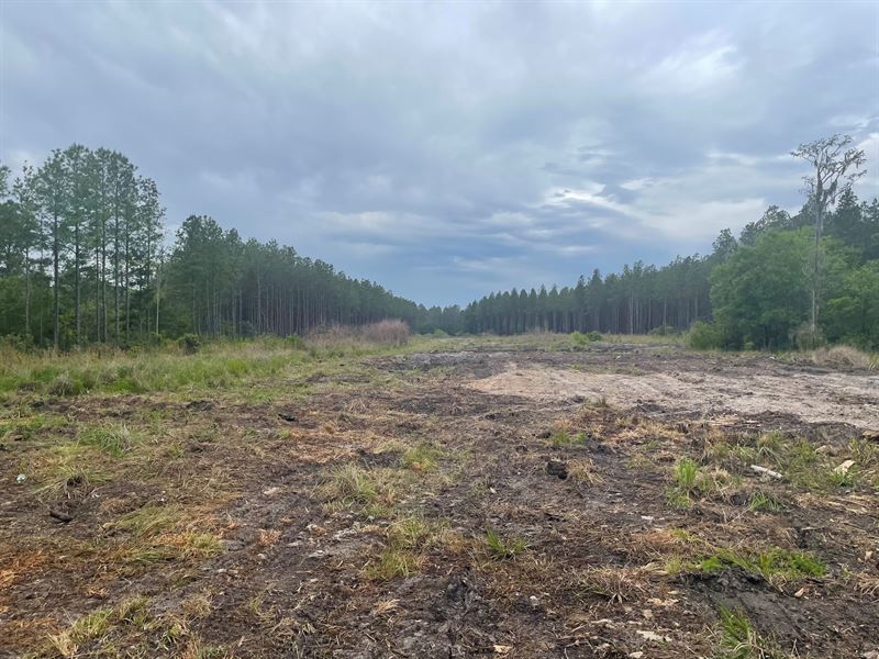 6.57 Acres on S Clough Bay Rd : Waycross : Ware County : Georgia