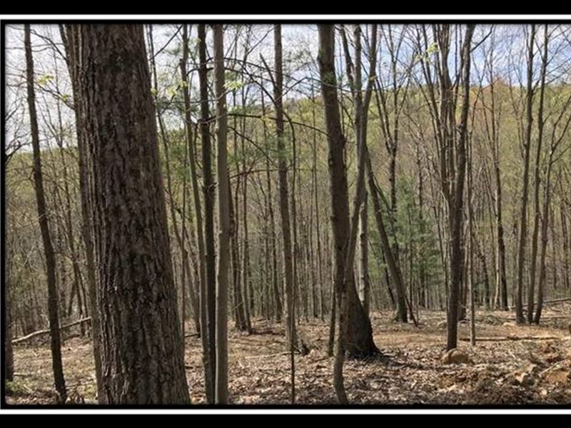 Tract 8, The Woods at Pike Forest : Bainbridge : Pike County : Ohio