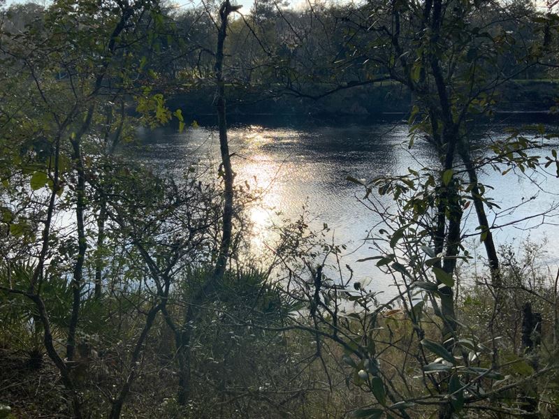 Beautiful Riverfront Property : Live Oak : Suwannee County : Florida